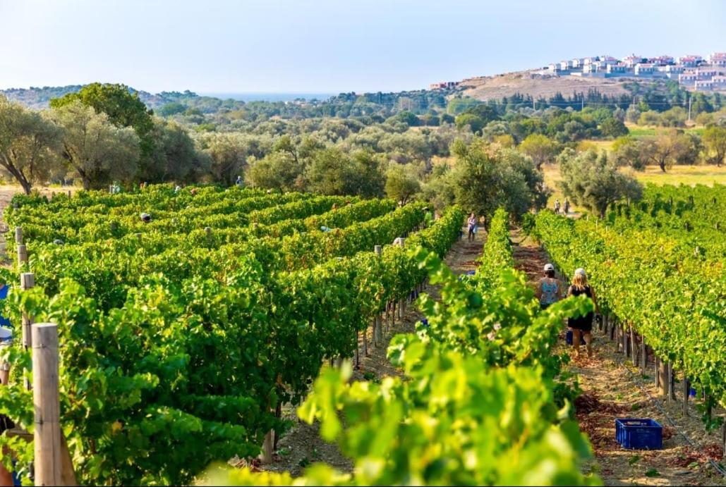 Datca Vineyard Guesthouse Exterior foto
